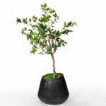 Linea Floor Planter Black – Modern Floor Planter