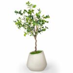 Linea Floor Planter Black – Modern Floor Planter