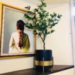 Pax Floor Planter – Black Planter