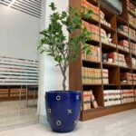 Vox Floor Planter – Best Floor Planter Design in Pakistan