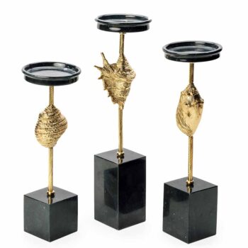 Seashell Candle Stand , Candle stand Design , Candle Stand Decoration , Candle Stand , Candle Stand Price