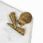 Seashell Platter – Best Serving Platters in Pakistan