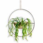 Aster Bowl Planter – Hanging Planter for Window​