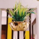 Aster Bowl Planter – Hanging Planter for Window​