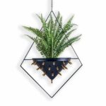 Vert Pyramid Bullet Hanging Planter – Wall Hanging Planters