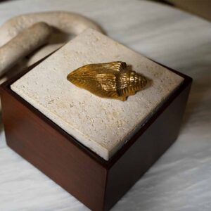 Seashell Keepsake Box