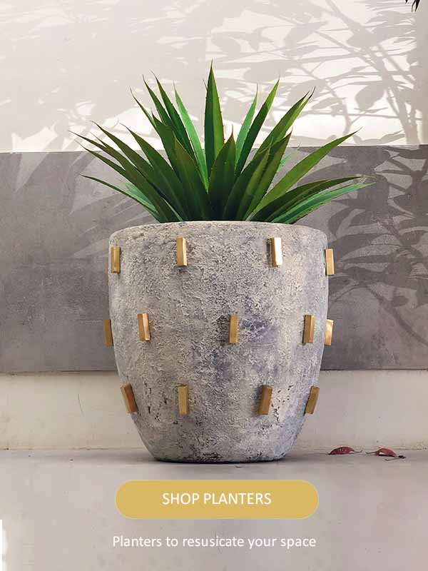 Planter-600x800