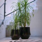 Aero Planter Small Black – Studio