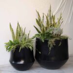 Aero Planter Small Black – Studio
