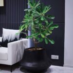 Aero Planter Medium Wide Black – Studio