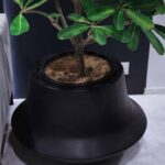 Aero Planter Medium Wide Black – Studio