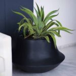 Aero Planter Medium Wide Black – Studio