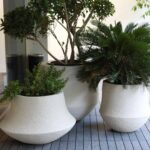 Aero Planter Small Black – Studio